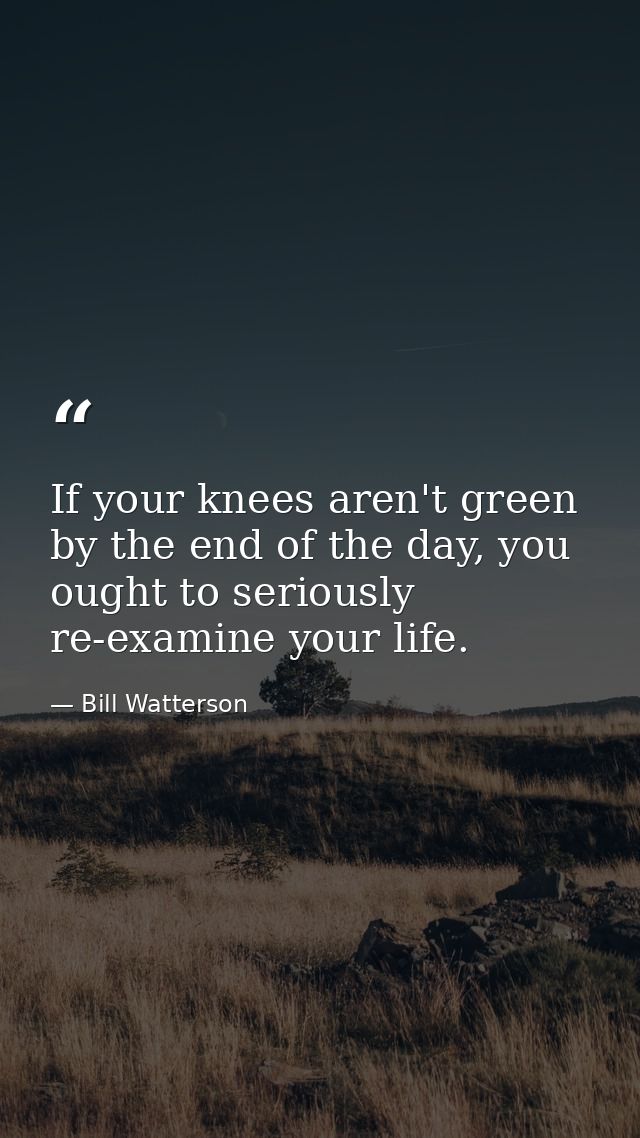 If your knees aren't green by the end of the day, you ought to seriously re-examine your life. — Bill Watterson