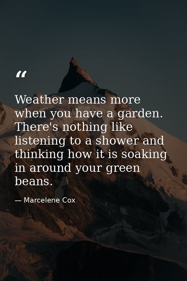 Weather means more when you have a garden. There's nothing like listening to a shower and thinking how it is soaking in  — Marcelene Cox