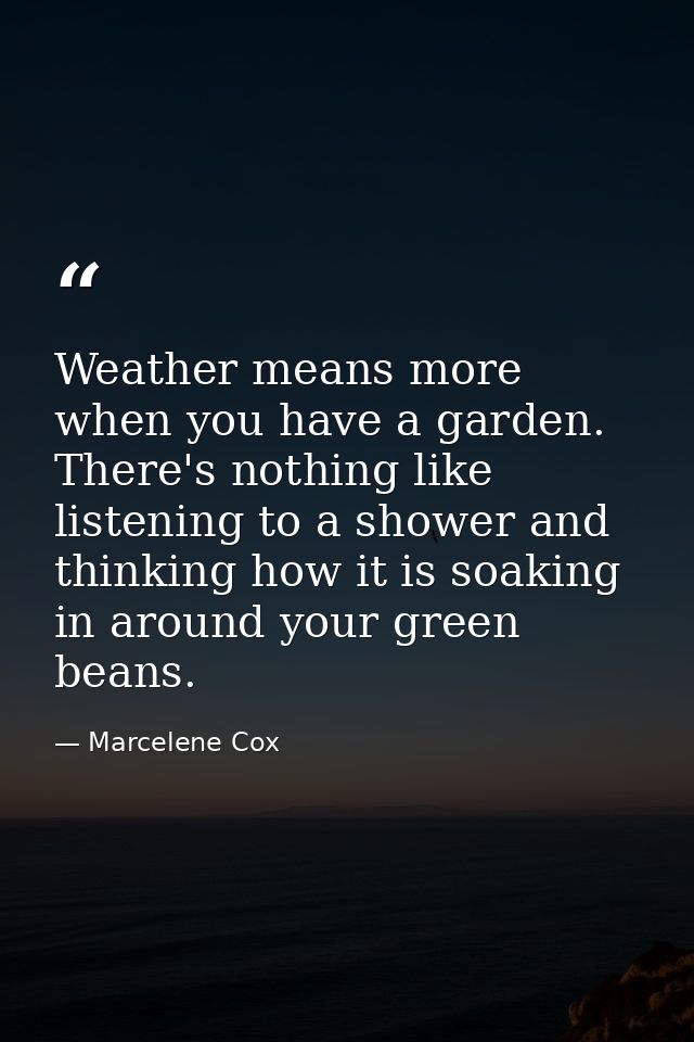 Weather means more when you have a garden. There's nothing like listening to a shower and thinking how it is soaking in  — Marcelene Cox