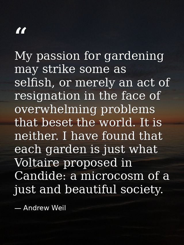 My passion for gardening may strike some as selfish, or merely an act of resignation in the face of overwhelming problem — Andrew Weil