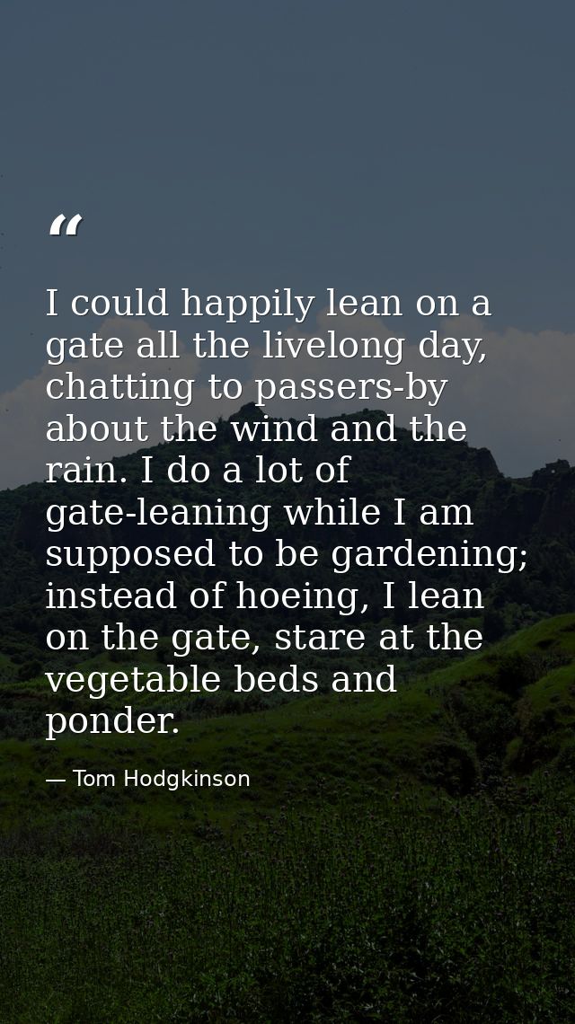 I could happily lean on a gate all the livelong day, chatting to passers-by about the wind and the rain. I do a lot of g — Tom Hodgkinson