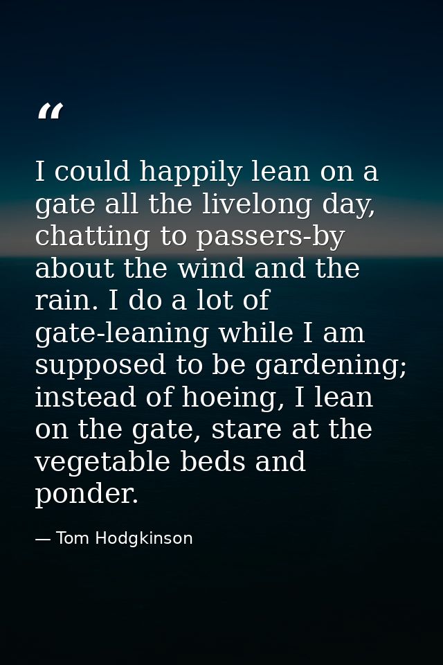 I could happily lean on a gate all the livelong day, chatting to passers-by about the wind and the rain. I do a lot of g — Tom Hodgkinson