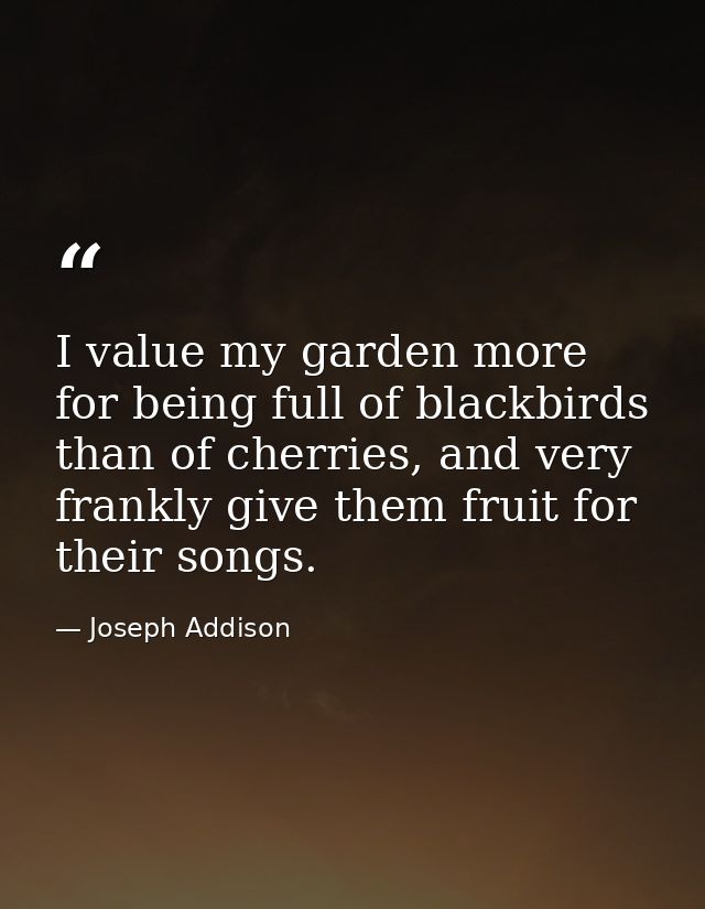 I value my garden more for being full of blackbirds than of cherries, and very frankly give them fruit for their songs. — Joseph Addison
