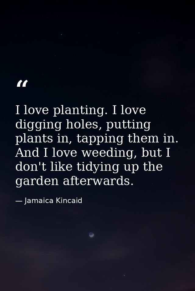 I love planting. I love digging holes, putting plants in, tapping them in. And I love weeding, but I don't like tidying  — Jamaica Kincaid