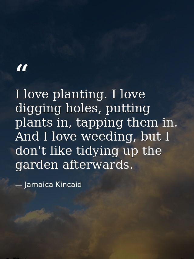 I love planting. I love digging holes, putting plants in, tapping them in. And I love weeding, but I don't like tidying  — Jamaica Kincaid