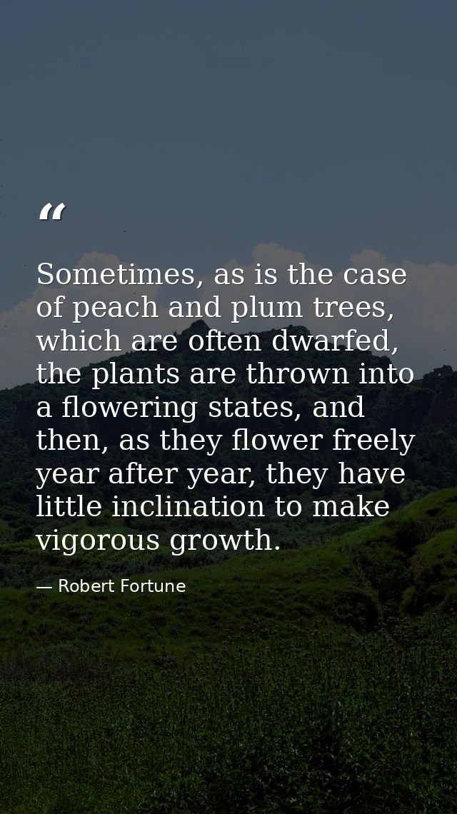 Sometimes, as is the case of peach and plum trees, which are often dwarfed, the plants are thrown into a flowering state — Robert Fortune