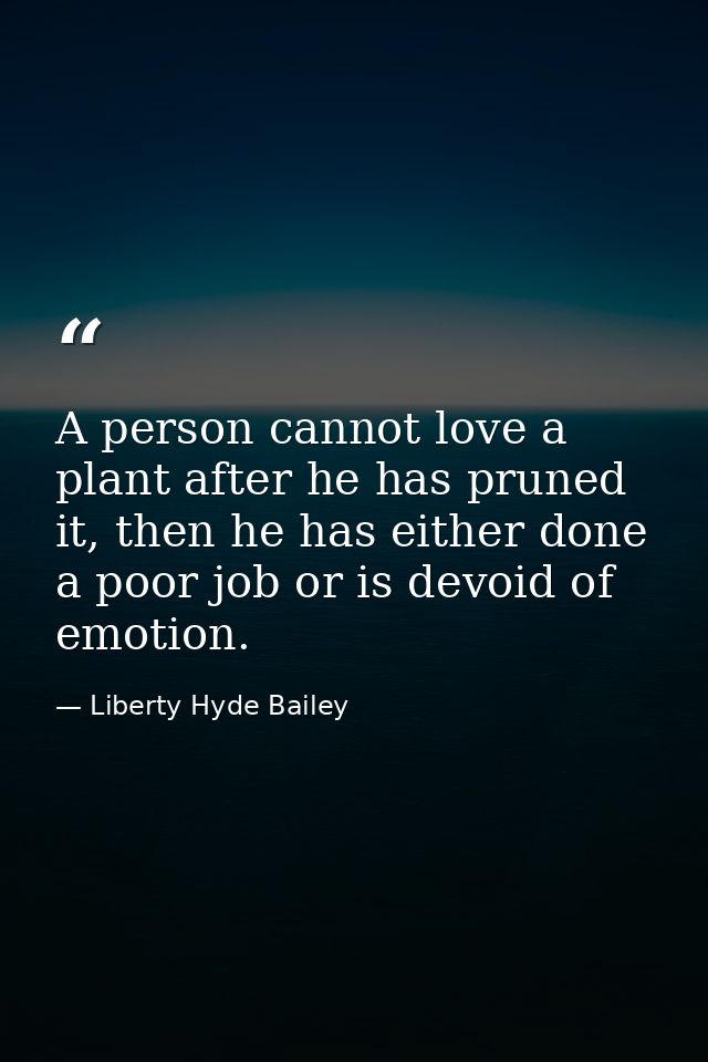 A person cannot love a plant after he has pruned it, then he has either done a poor job or is devoid of emotion. — Liberty Hyde Bailey