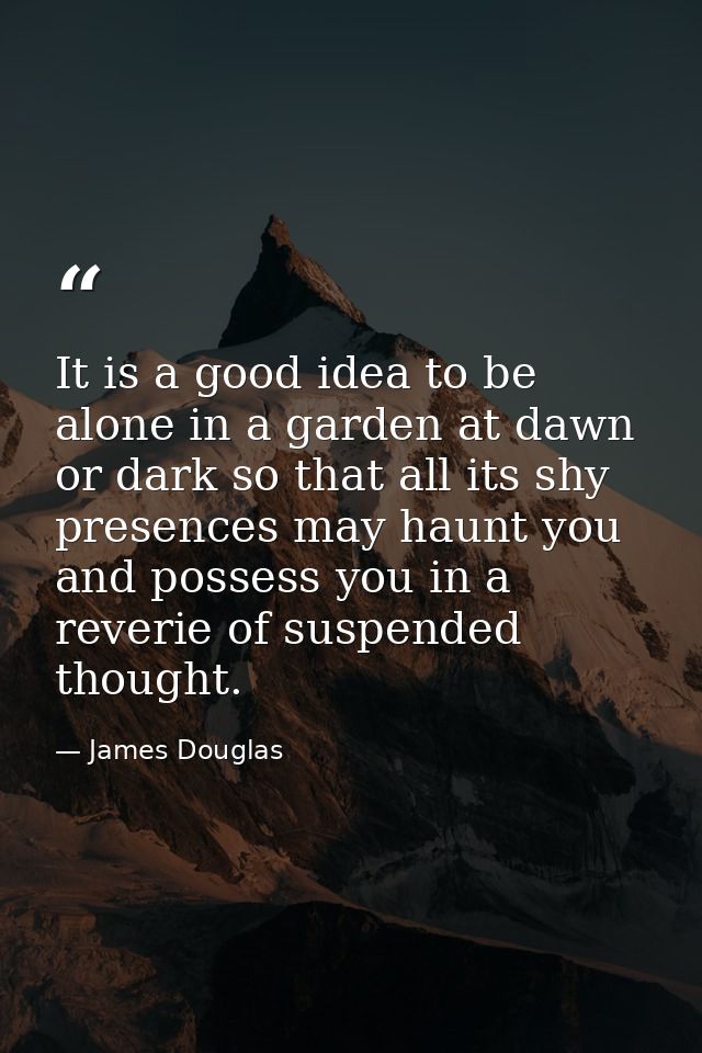 It is a good idea to be alone in a garden at dawn or dark so that all its shy presences may haunt you and possess you in — James Douglas
