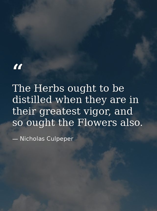 The Herbs ought to be distilled when they are in their greatest vigor, and so ought the Flowers also. — Nicholas Culpeper