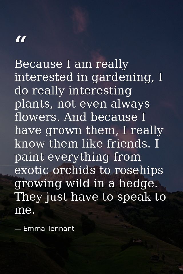 Because I am really interested in gardening, I do really interesting plants, not even always flowers. And because I have — Emma Tennant