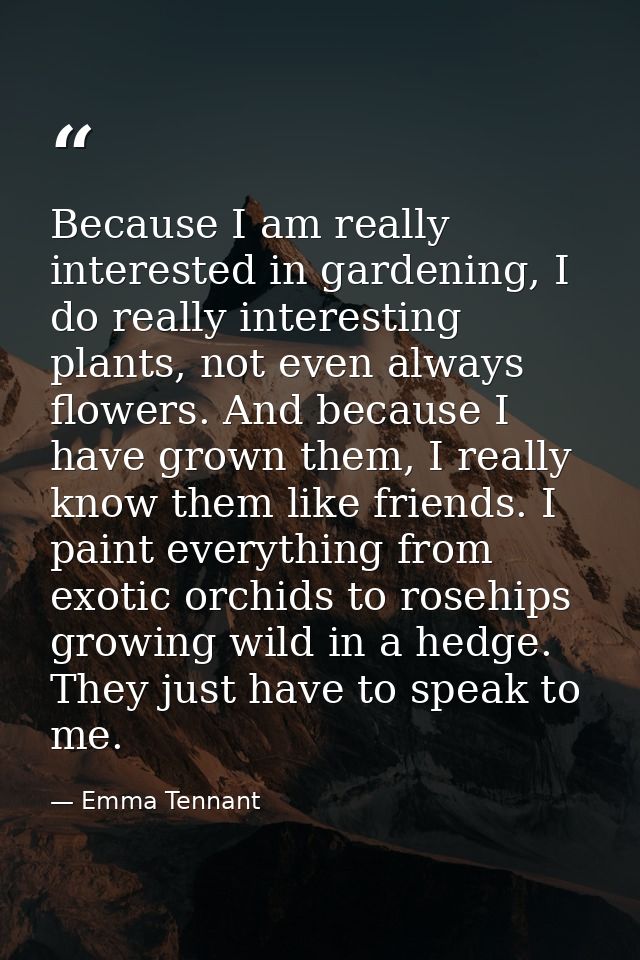 Because I am really interested in gardening, I do really interesting plants, not even always flowers. And because I have — Emma Tennant