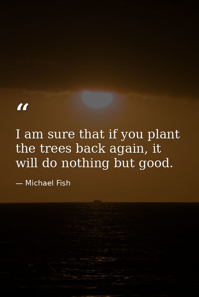 I am sure that if you plant the trees back again, it will do nothing but good. — Michael Fish
