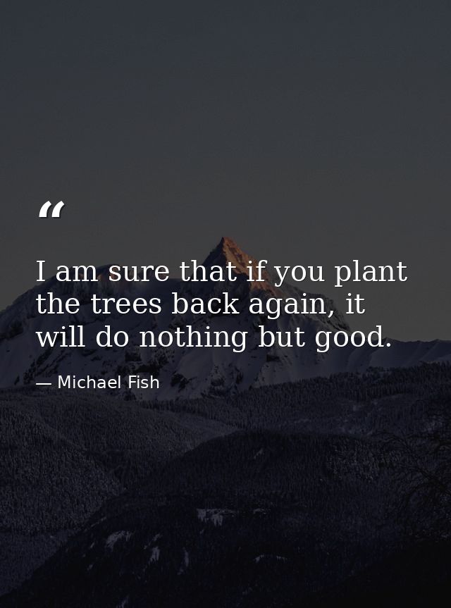 I am sure that if you plant the trees back again, it will do nothing but good. — Michael Fish