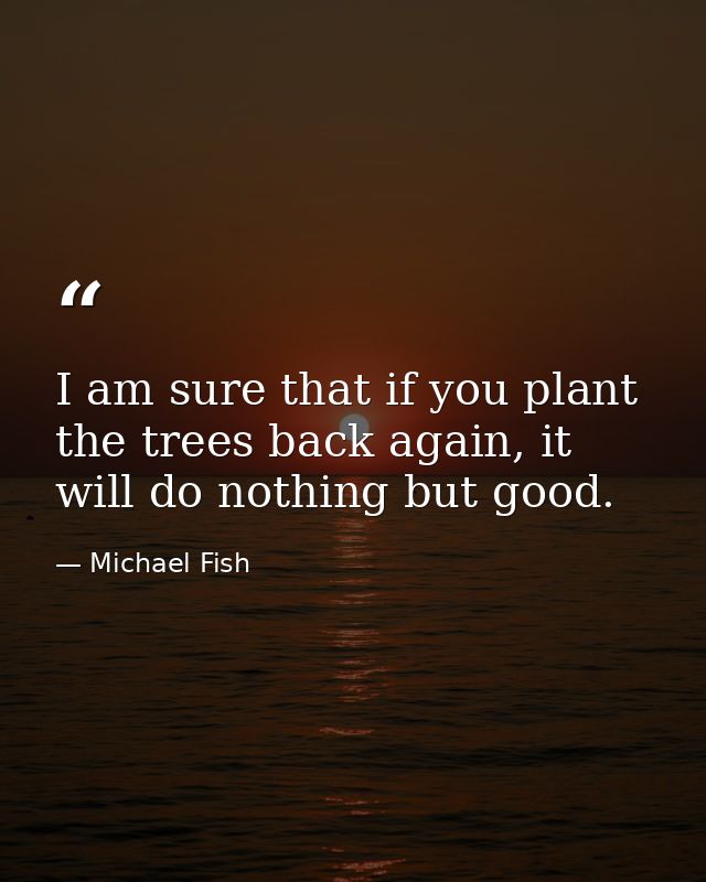 I am sure that if you plant the trees back again, it will do nothing but good. — Michael Fish