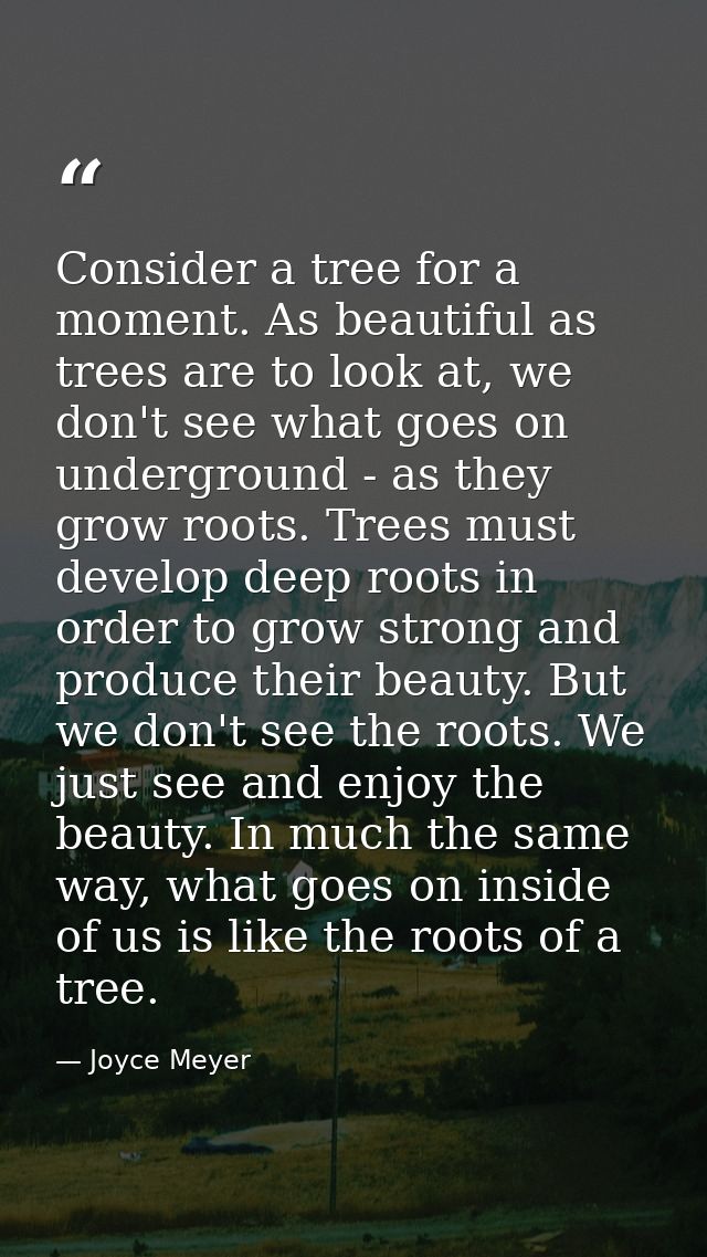 Consider a tree for a moment. As beautiful as trees are to look at, we don't see what goes on underground - as they grow — Joyce Meyer