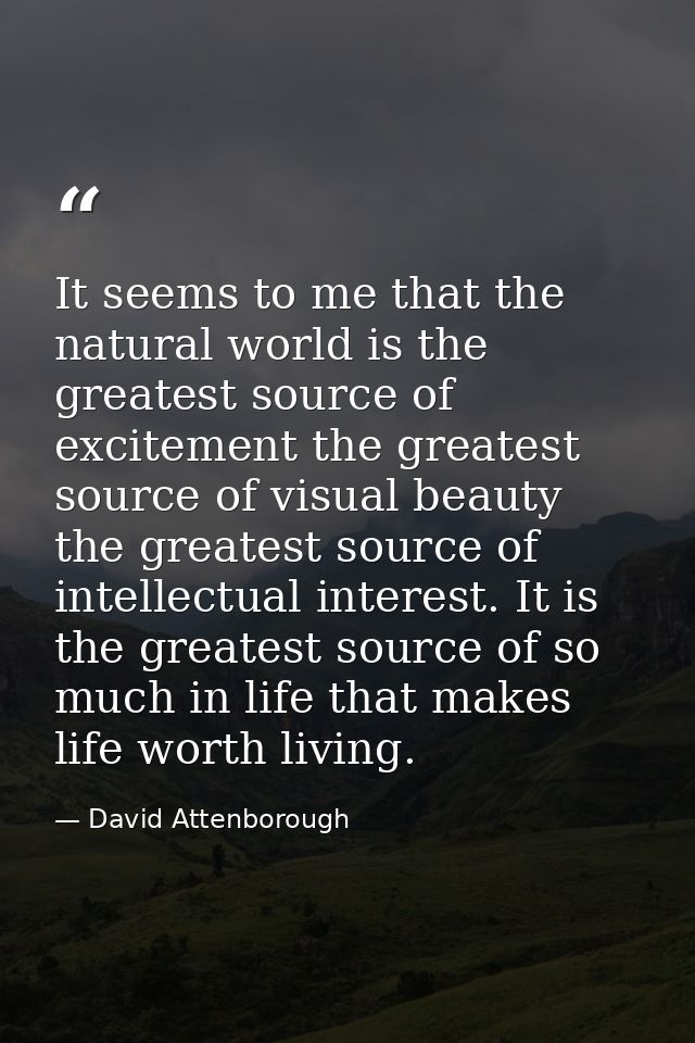 It seems to me that the natural world is the greatest source of excitement the greatest source of visual beauty the grea — David Attenborough