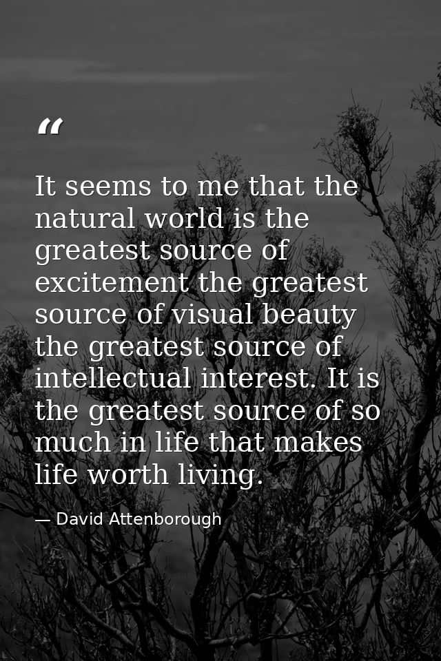 It seems to me that the natural world is the greatest source of excitement the greatest source of visual beauty the grea — David Attenborough