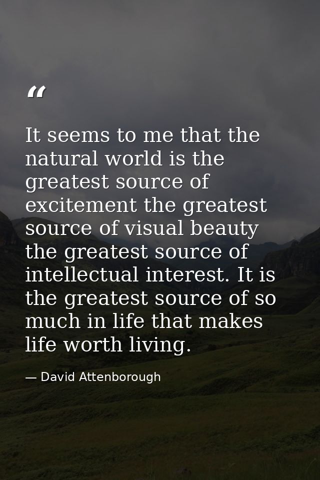 It seems to me that the natural world is the greatest source of excitement the greatest source of visual beauty the grea — David Attenborough