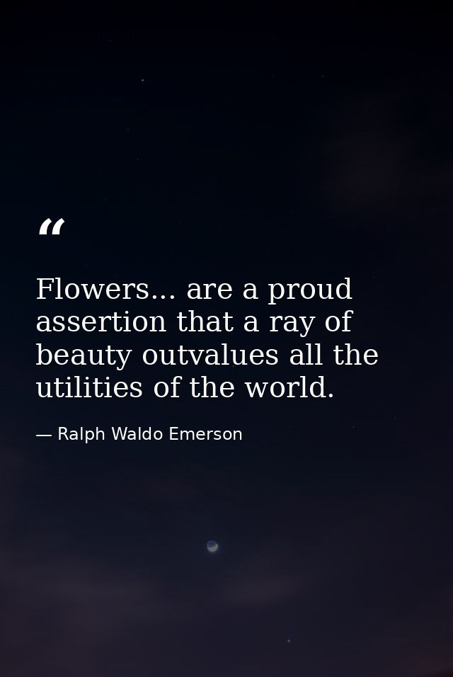 Flowers... are a proud assertion that a ray of beauty outvalues all the utilities of the world. — Ralph Waldo Emerson
