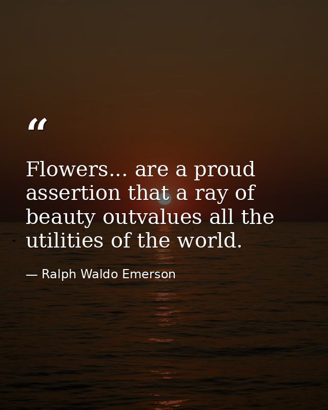 Flowers... are a proud assertion that a ray of beauty outvalues all the utilities of the world. — Ralph Waldo Emerson