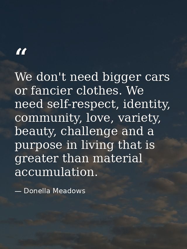 We don't need bigger cars or fancier clothes. We need self-respect, identity, community, love, variety, beauty, challeng — Donella Meadows