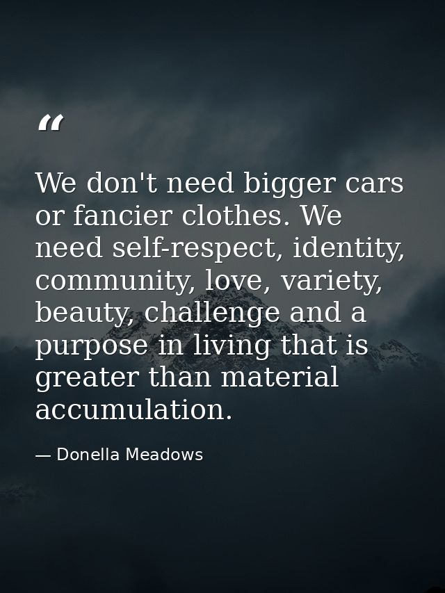 We don't need bigger cars or fancier clothes. We need self-respect, identity, community, love, variety, beauty, challeng — Donella Meadows