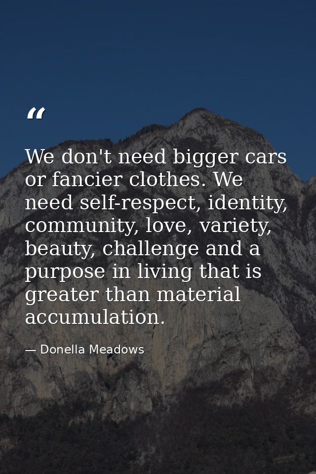 We don't need bigger cars or fancier clothes. We need self-respect, identity, community, love, variety, beauty, challeng — Donella Meadows