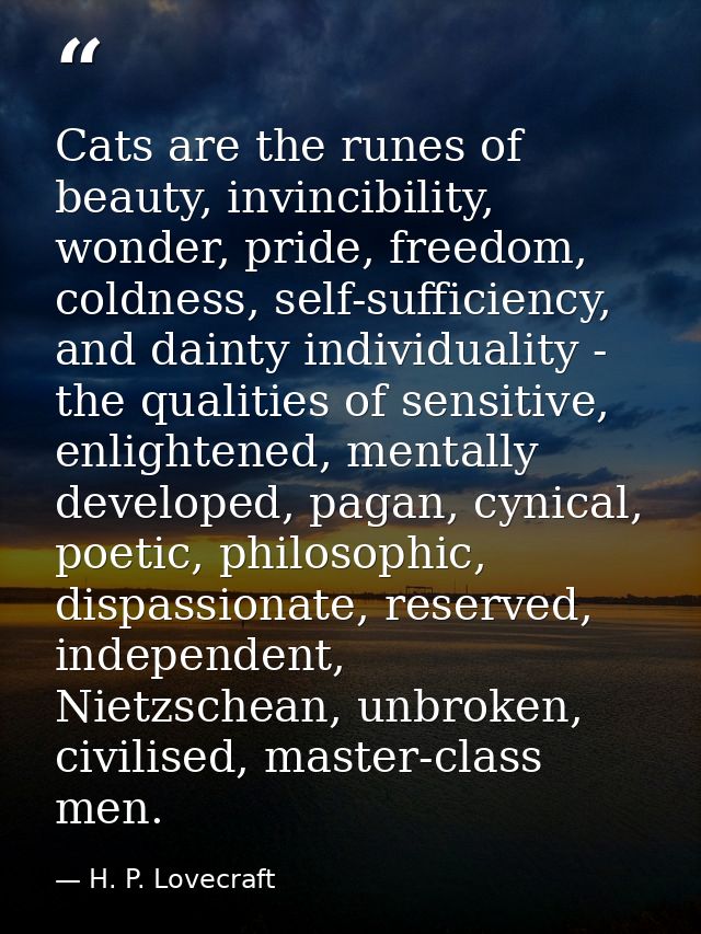 Cats are the runes of beauty, invincibility, wonder, pride, freedom, coldness, self-sufficiency, and dainty individualit — H. P. Lovecraft