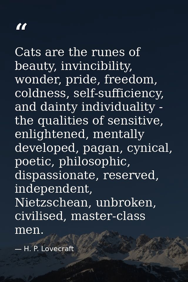 Cats are the runes of beauty, invincibility, wonder, pride, freedom, coldness, self-sufficiency, and dainty individualit — H. P. Lovecraft