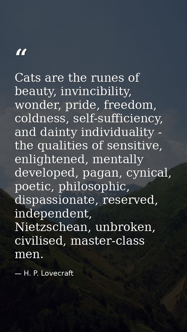 Cats are the runes of beauty, invincibility, wonder, pride, freedom, coldness, self-sufficiency, and dainty individualit — H. P. Lovecraft