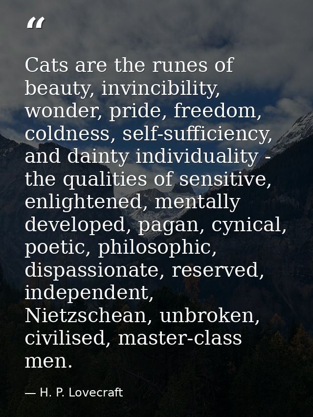 Cats are the runes of beauty, invincibility, wonder, pride, freedom, coldness, self-sufficiency, and dainty individualit — H. P. Lovecraft