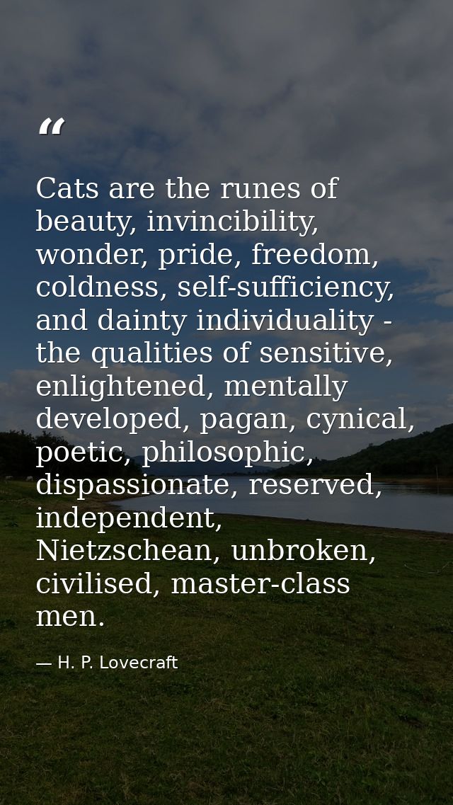 Cats are the runes of beauty, invincibility, wonder, pride, freedom, coldness, self-sufficiency, and dainty individualit — H. P. Lovecraft