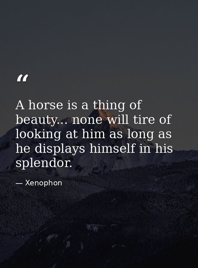 A horse is a thing of beauty... none will tire of looking at him as long as he displays himself in his splendor. — Xenophon