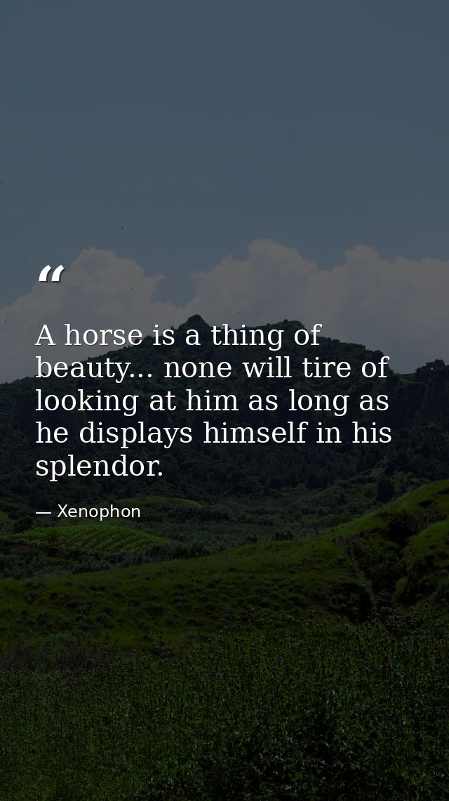 A horse is a thing of beauty... none will tire of looking at him as long as he displays himself in his splendor. — Xenophon