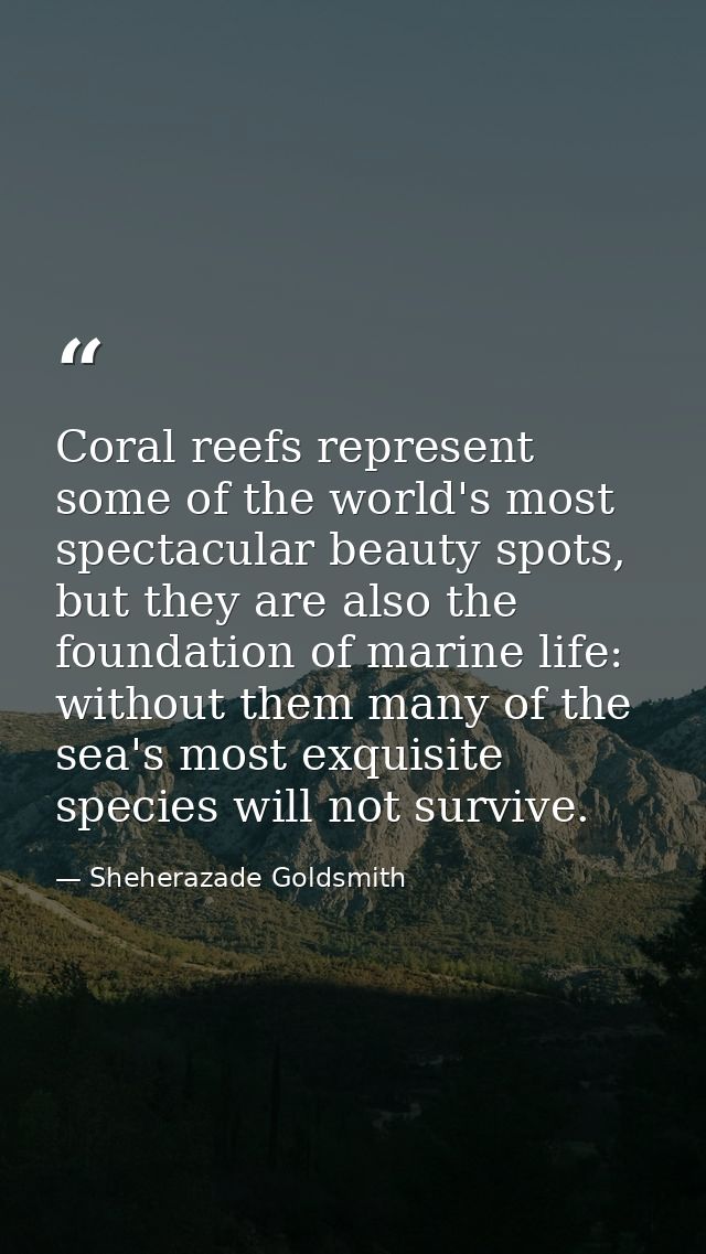 Coral reefs represent some of the world's most spectacular beauty spots, but they are also the foundation of marine life — Sheherazade Goldsmith