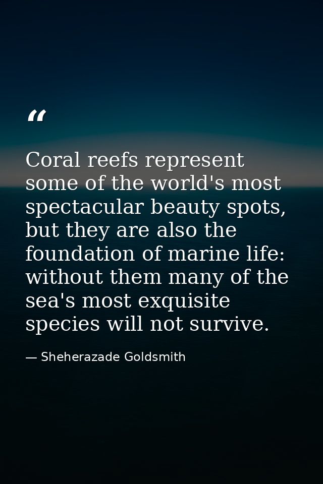 Coral reefs represent some of the world's most spectacular beauty spots, but they are also the foundation of marine life — Sheherazade Goldsmith