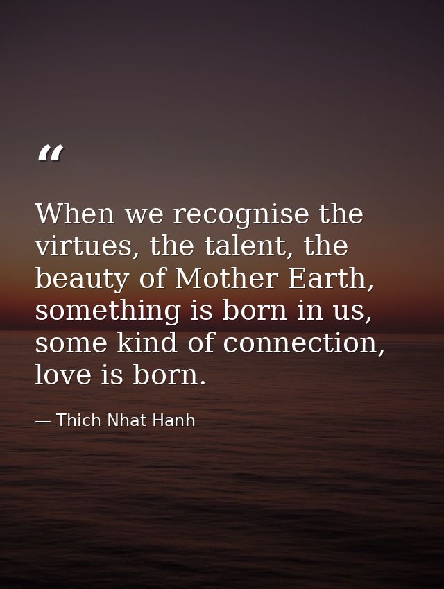 When we recognise the virtues, the talent, the beauty of Mother Earth, something is born in us, some kind of connection, — Thich Nhat Hanh