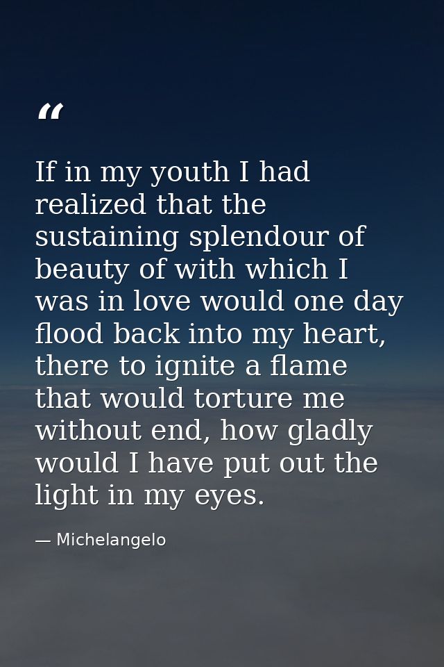 If in my youth I had realized that the sustaining splendour of beauty of with which I was in love would one day flood ba — Michelangelo