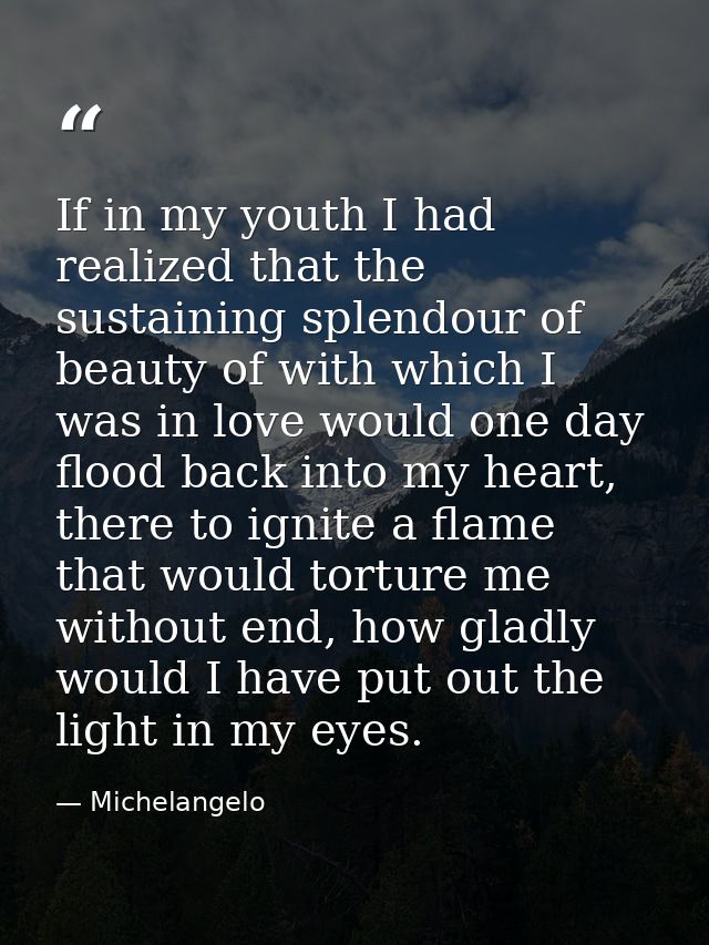 If in my youth I had realized that the sustaining splendour of beauty of with which I was in love would one day flood ba — Michelangelo
