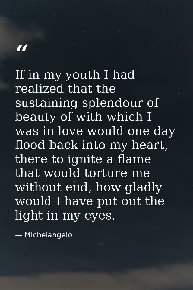 If in my youth I had realized that the sustaining splendour of beauty of with which I was in love would one day flood ba — Michelangelo