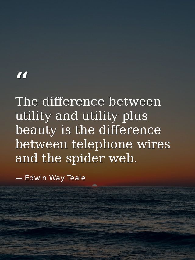 The difference between utility and utility plus beauty is the difference between telephone wires and the spider web. — Edwin Way Teale