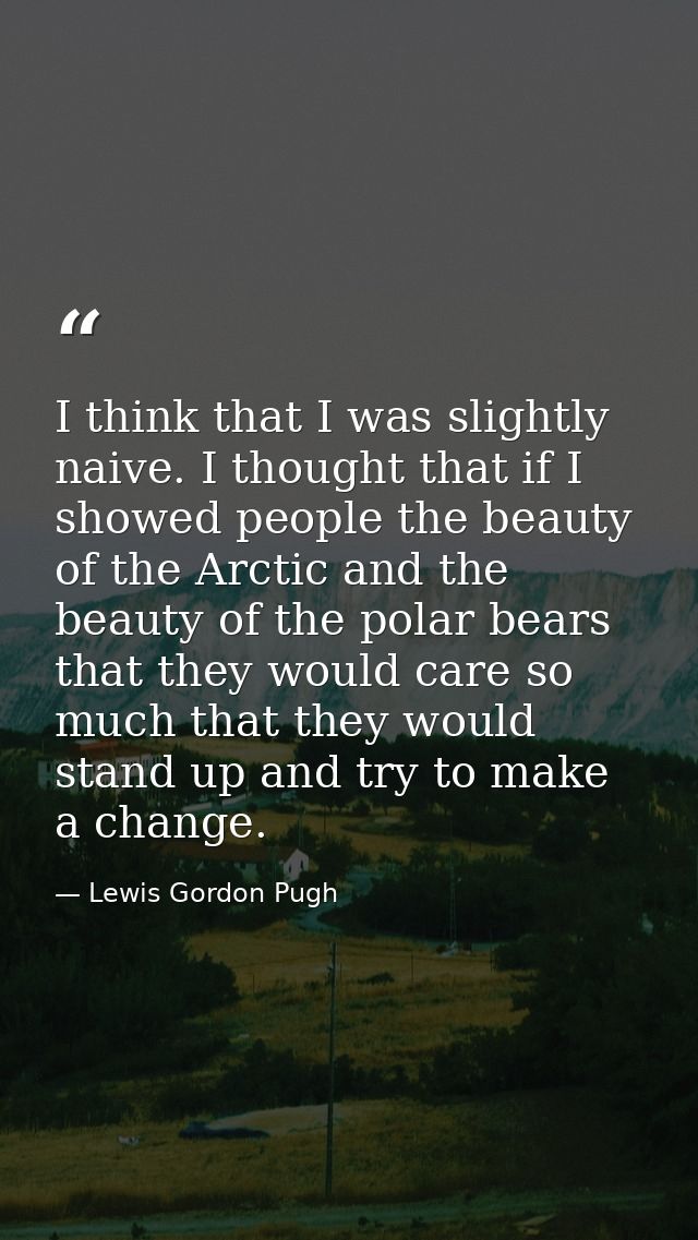 I think that I was slightly naive. I thought that if I showed people the beauty of the Arctic and the beauty of the pola — Lewis Gordon Pugh