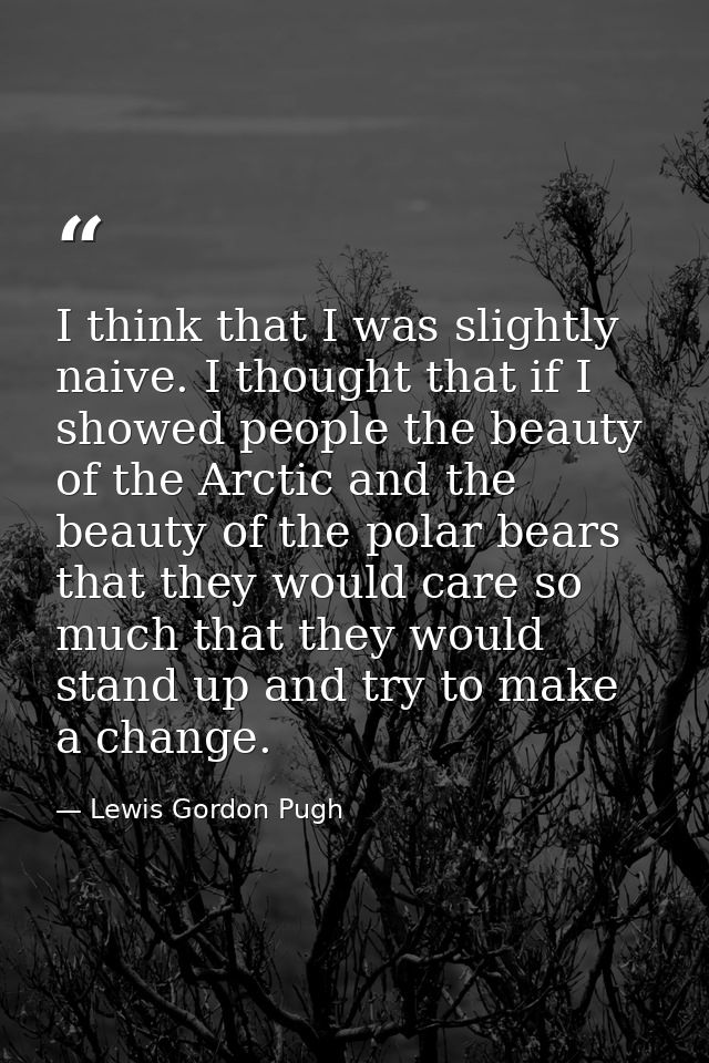 I think that I was slightly naive. I thought that if I showed people the beauty of the Arctic and the beauty of the pola — Lewis Gordon Pugh