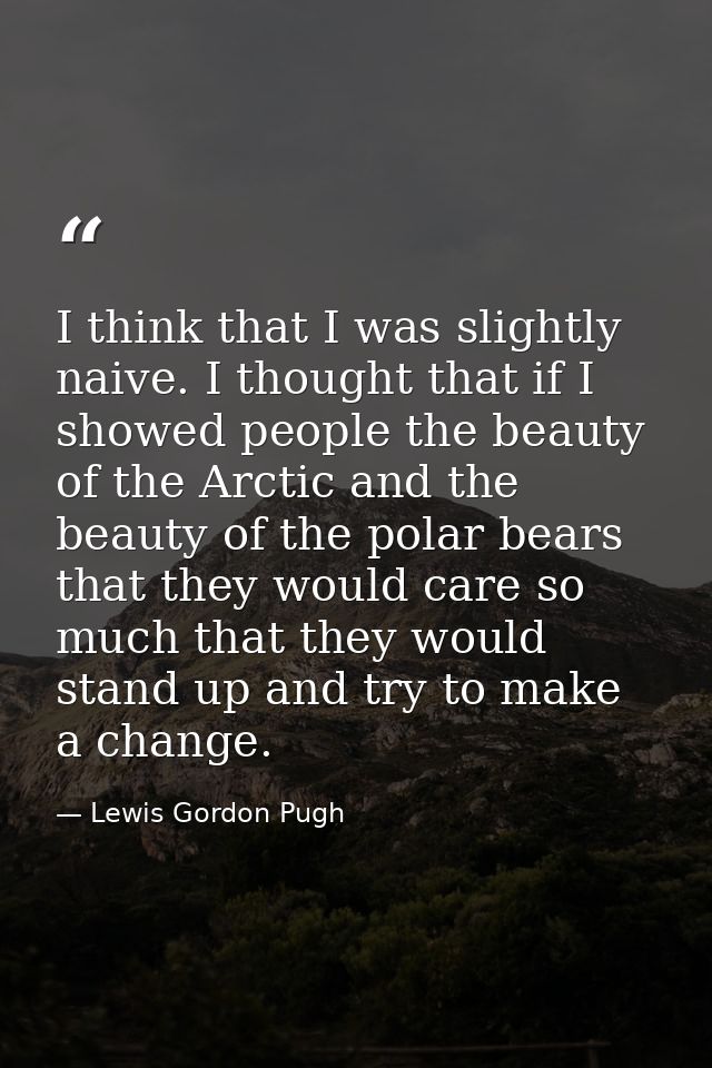 I think that I was slightly naive. I thought that if I showed people the beauty of the Arctic and the beauty of the pola — Lewis Gordon Pugh