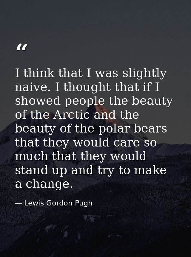 I think that I was slightly naive. I thought that if I showed people the beauty of the Arctic and the beauty of the pola — Lewis Gordon Pugh