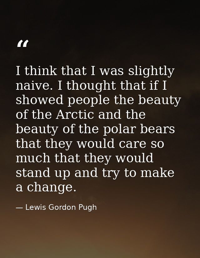 I think that I was slightly naive. I thought that if I showed people the beauty of the Arctic and the beauty of the pola — Lewis Gordon Pugh