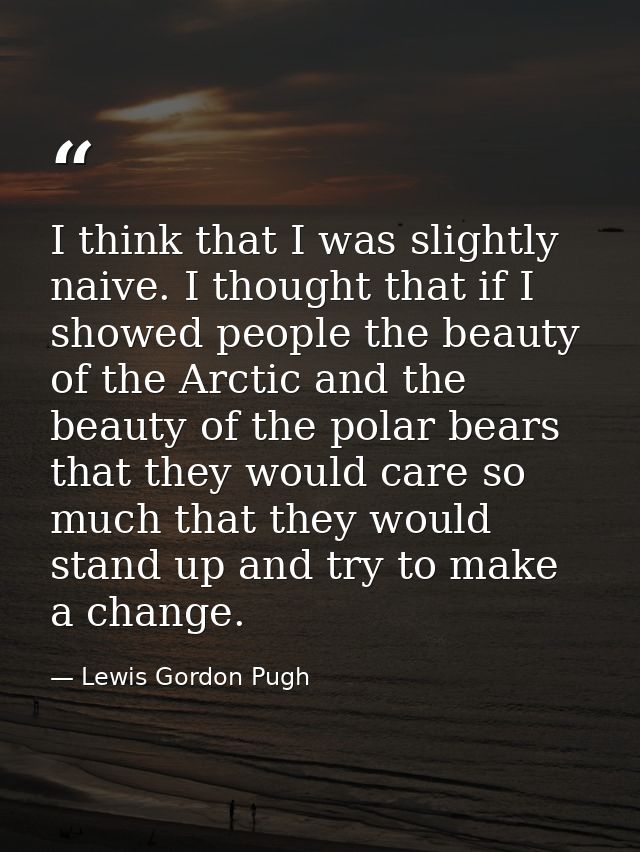 I think that I was slightly naive. I thought that if I showed people the beauty of the Arctic and the beauty of the pola — Lewis Gordon Pugh