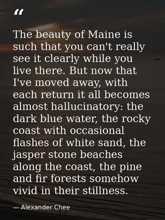 The beauty of Maine is such that you can't really see it clearly while you live there. But now that I've moved away, wit — Alexander Chee