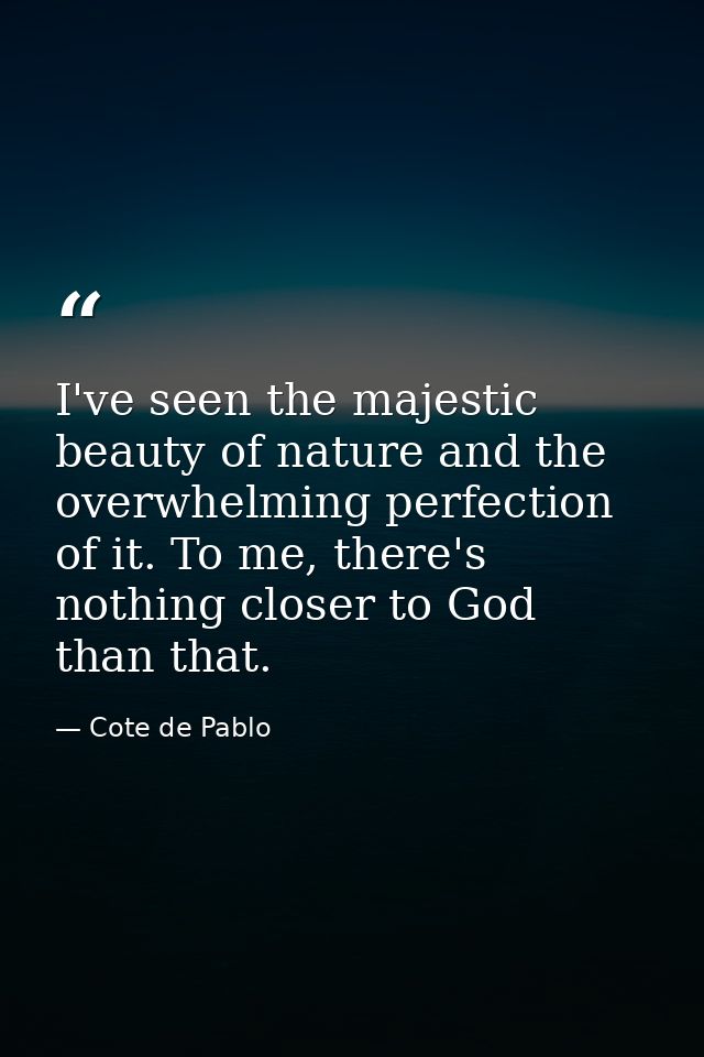 I've seen the majestic beauty of nature and the overwhelming perfection of it. To me, there's nothing closer to God than — Cote de Pablo