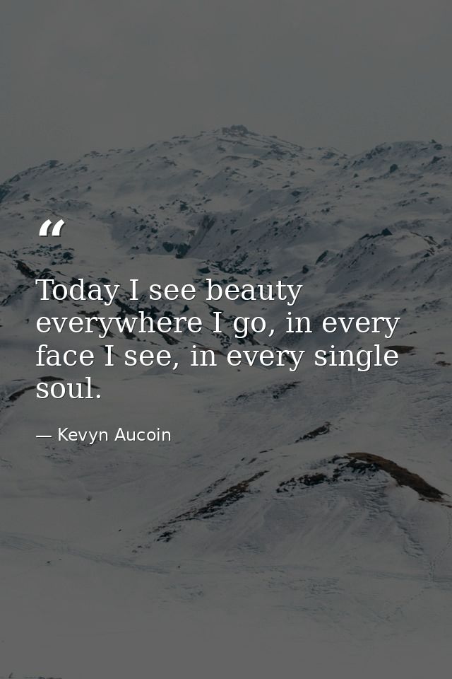 Today I see beauty everywhere I go, in every face I see, in every single soul. — Kevyn Aucoin